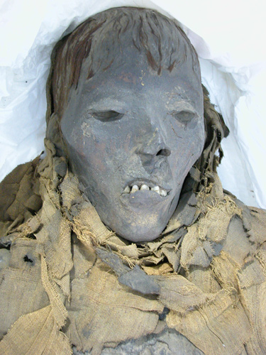 This superior quality mummy is a male whose name is unknown.